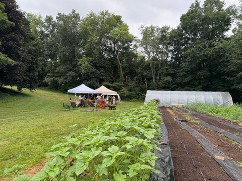 Season Highlights 2025