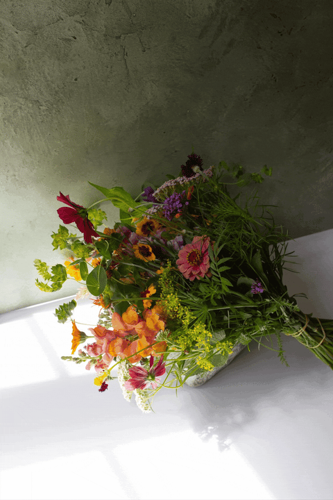 From Dahlias to Spring Bulbs, A Preview of 2026