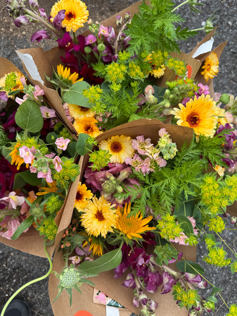 Local CSA Pick-Up Earlybird
