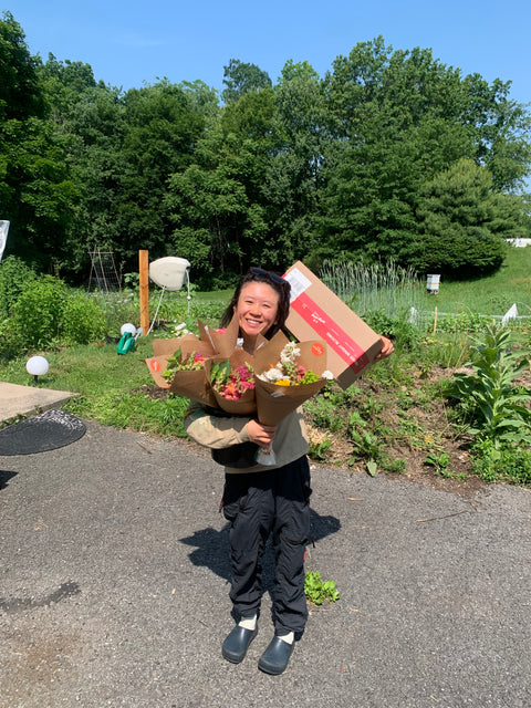 CSA Shipping Earlybird