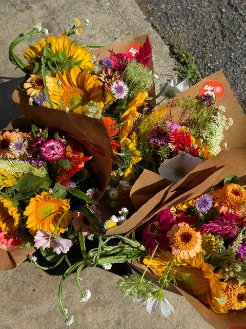 Local CSA Pick-Up Earlybird