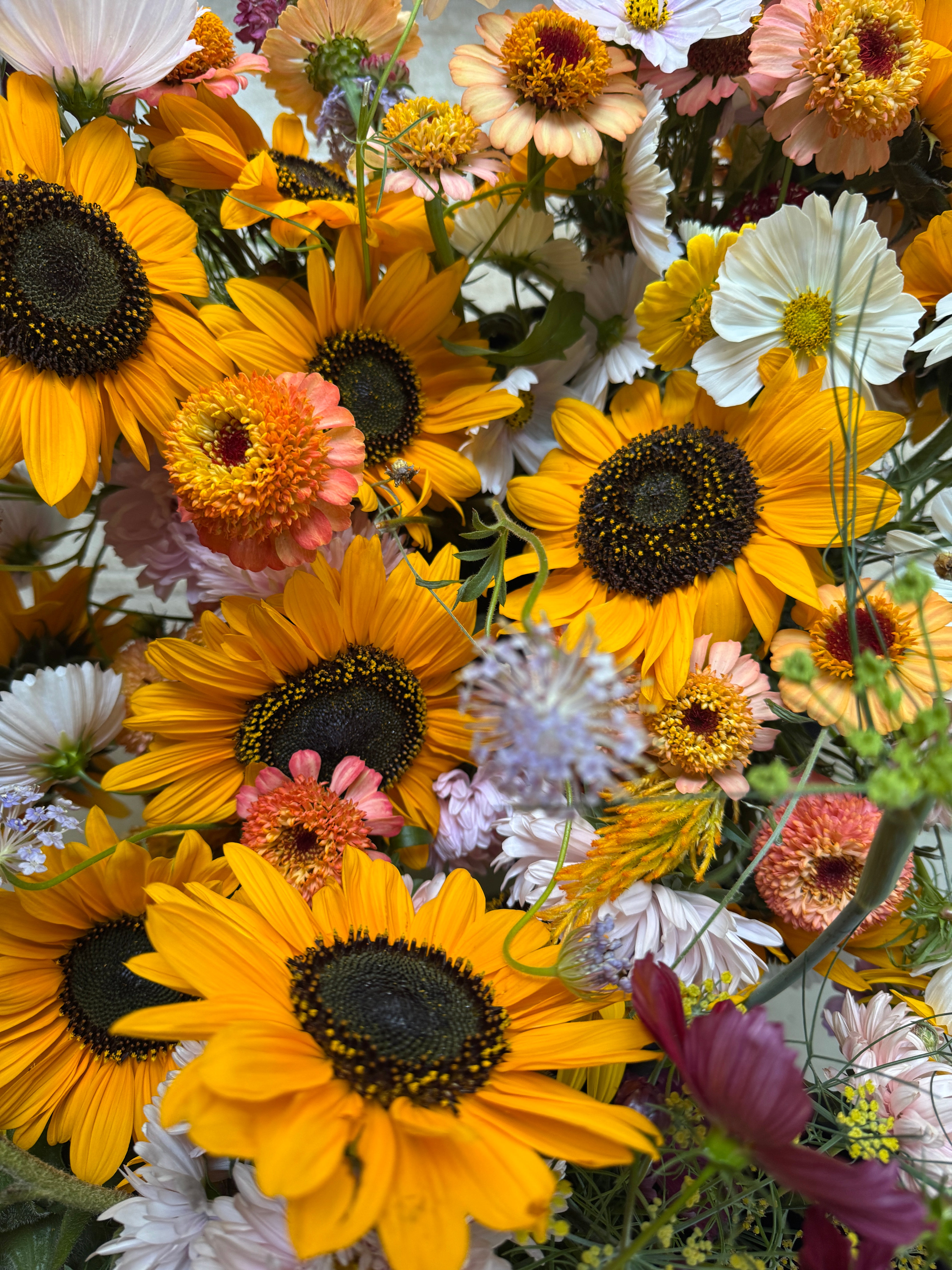 Hudson Valley Flower CSA Delivery | Wing Ming Farm