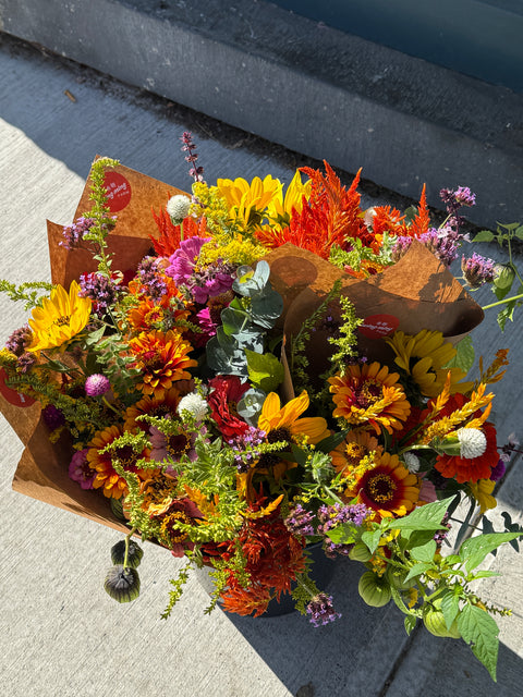 CSA Shipping Earlybird