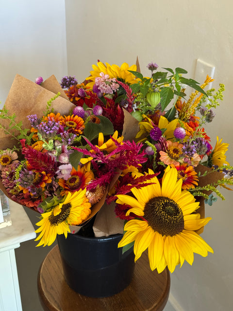 Local CSA Pick-Up Earlybird