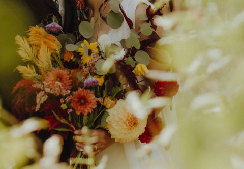 Experience the ever-changing season with