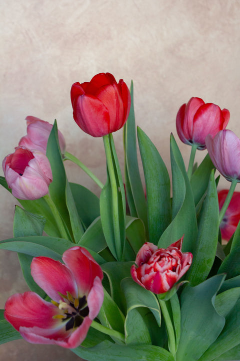 Mother's Day Bouquet - Pick-up / Delivery